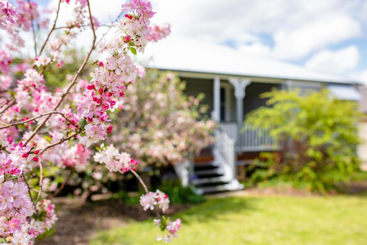 Apple Blossom Cottages Stanthorpe Exterior photo