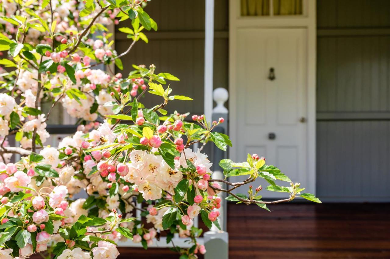 Apple Blossom Cottages Stanthorpe Exterior photo