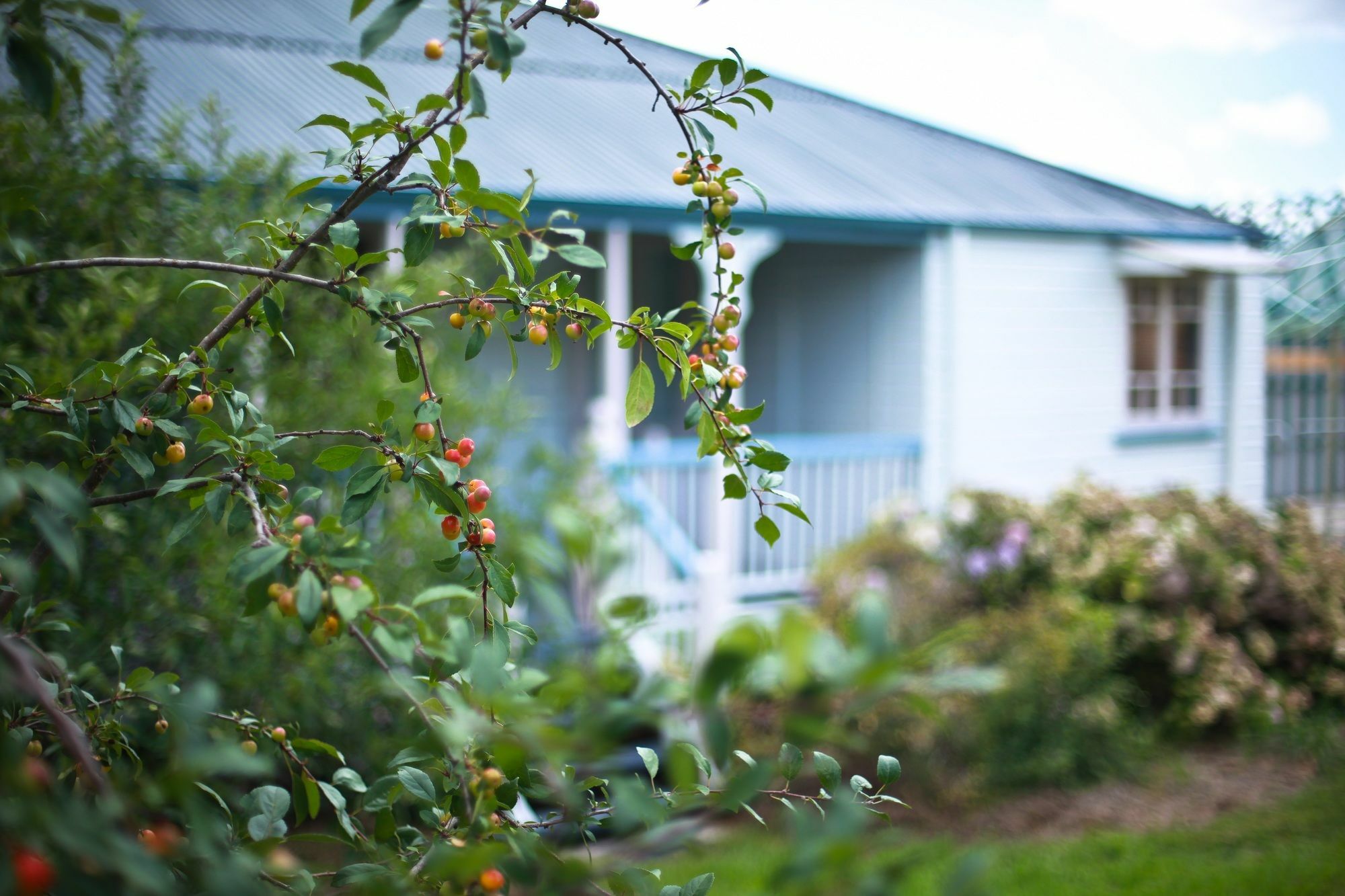 Apple Blossom Cottages Stanthorpe Exterior photo